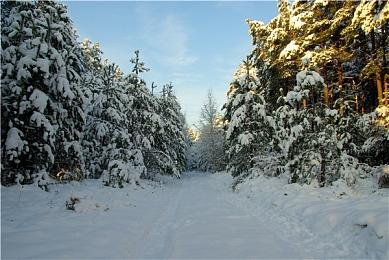 VR射击竞速新游《RUNNER》新预告 90年代动画风格